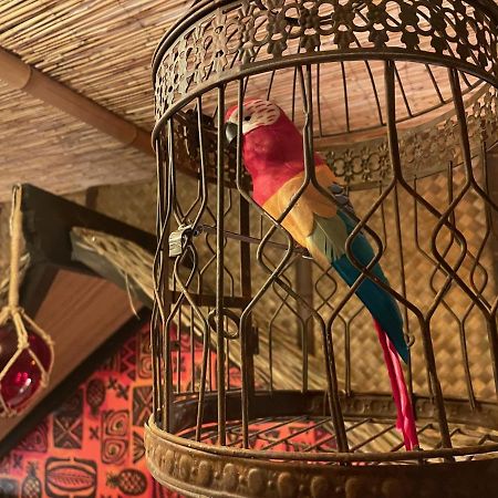 The Kondo Tiki Tampa Eksteriør billede