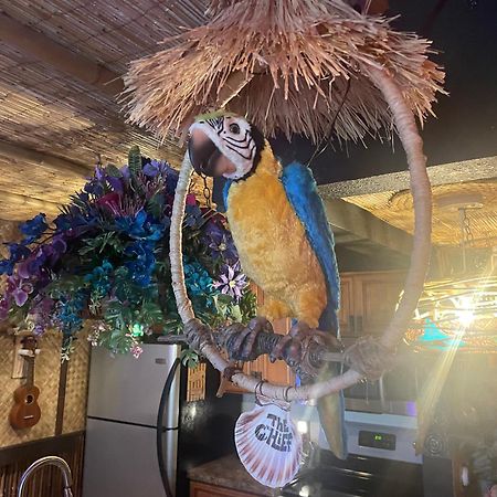 The Kondo Tiki Tampa Eksteriør billede