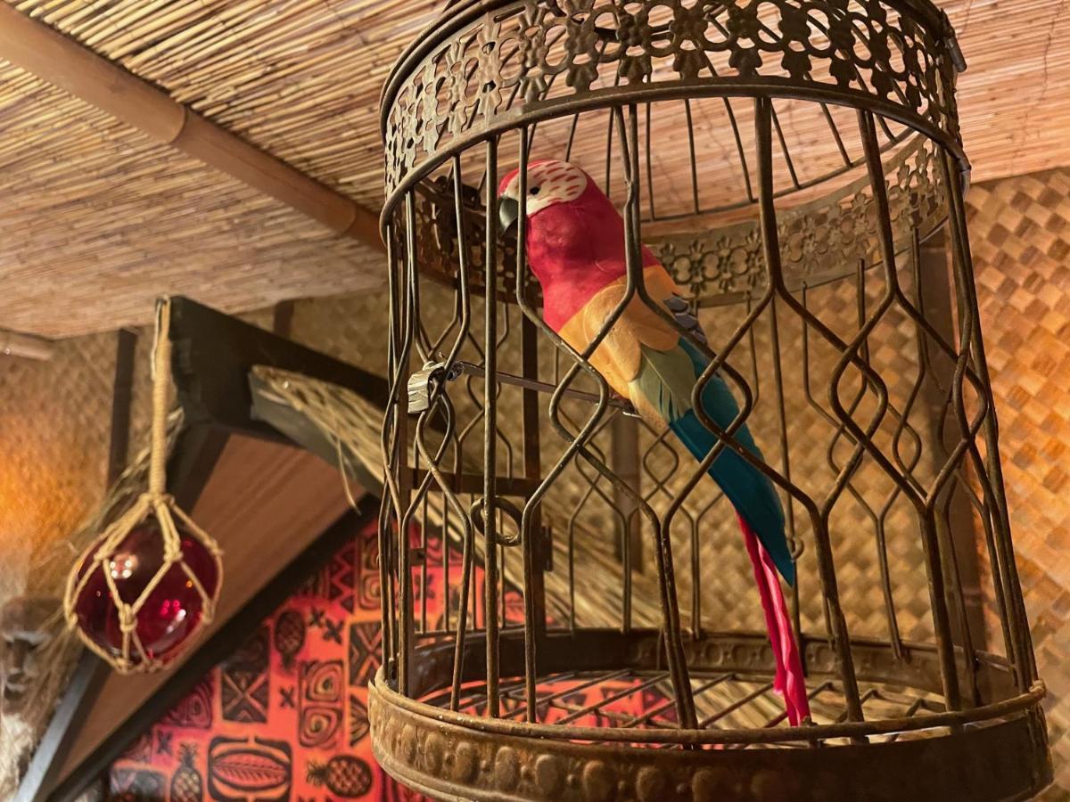 The Kondo Tiki Tampa Eksteriør billede